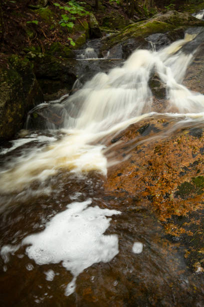 istock Waterfall in Kidder Brook in Sunapee, New Hampshire. 1367889367
