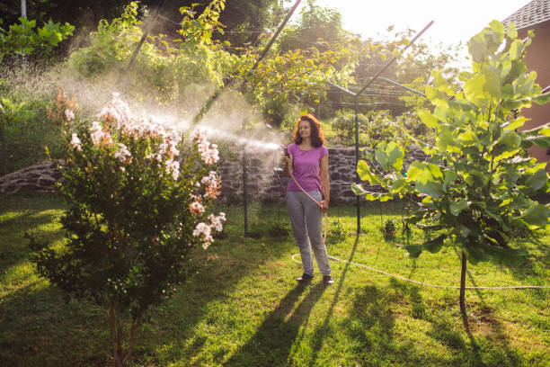istock Taking care of plant at summer 1367889575