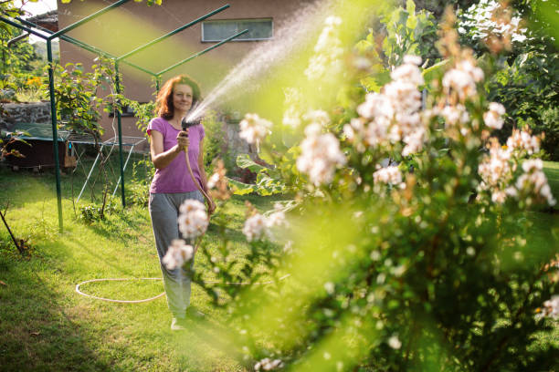 Close up of garden water hose in gardener's hands. Woman watering flowering roses with pipe in summer garden. Taking care of plants.