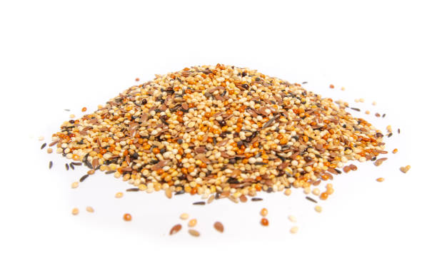 bird seed stock photo bird seed stock photo bird seed stock pictures, royalty-free photos & images