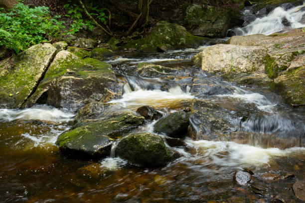 istock Waterfall in Kidder Brook in Sunapee, New Hampshire. 1367890158
