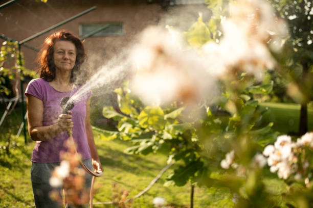 istock Taking care of plant at summer 1367890202