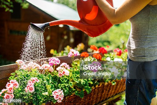 istock Gardening In Backyard 1367890204
