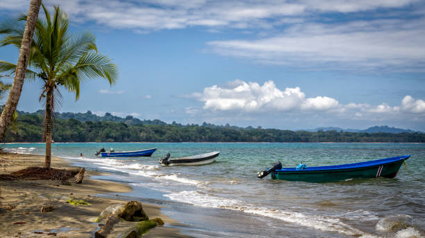 istock Beach in Costa rica 1367890563