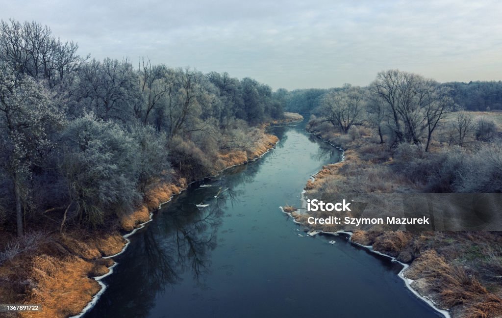 winter river banks with frosted trees and bushes and dry grass on a cold day Winter drone flight over a river whose banks are covered with frosted trees and dry grass. Wrocław, Poland. Wroclaw Stock Photo