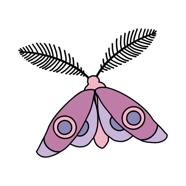 Vector illustration of moth with antennae. Butterfly wings of insect decorated with circles. Mystic symbol of celestial alchemy for tattoo decoration or astrology. Trendy emblem of summer boho night Vector illustration of moth with antennae. Butterfly wings of insect decorated with circles. Mystic symbol of celestial alchemy for tattoo decoration or astrology. Trendy emblem of summer bohemian night animal antenna stock illustrations