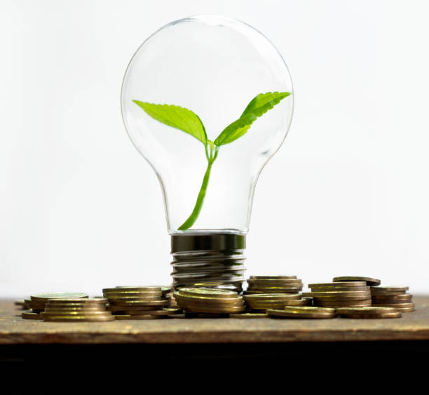 istock Green Investment Growth 1367893534