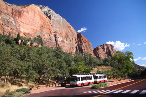 istock The iconic and traditional shuttle bus transporting people inside Zion National Park 1367894574