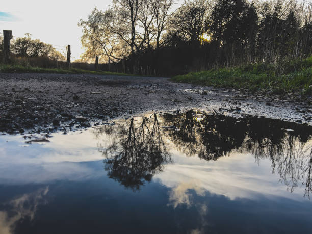 istock View of a path with a puddle of water next to a field. 1367894632