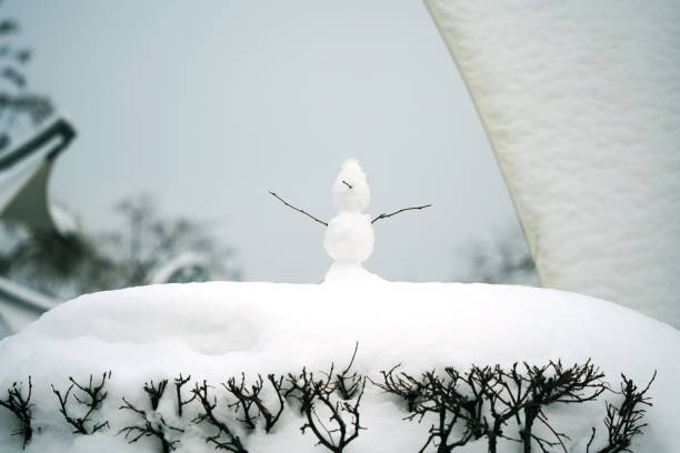 A cute plush snowman dressed in a blue patterned hat and green-striped scarf, surrounded by a soft holiday bokeh effect.