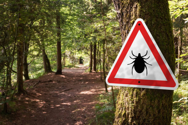 istock Tick insect warning sign in forest. 1367896383