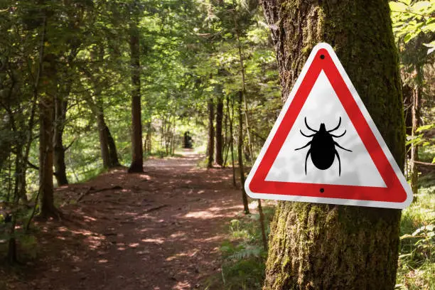 Photo of Tick insect warning sign in forest.