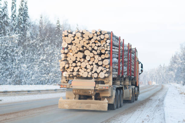 istock A logging truck carries lumber along a winter highway. 1367896455