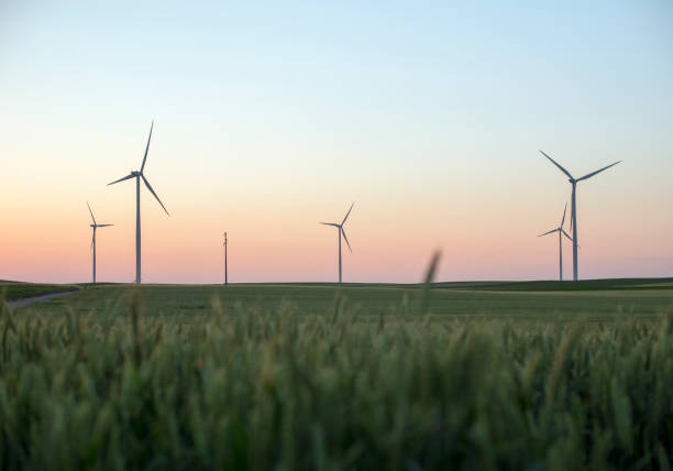 wind turbines alternative electricity sources - green business imagens e fotografias de stock