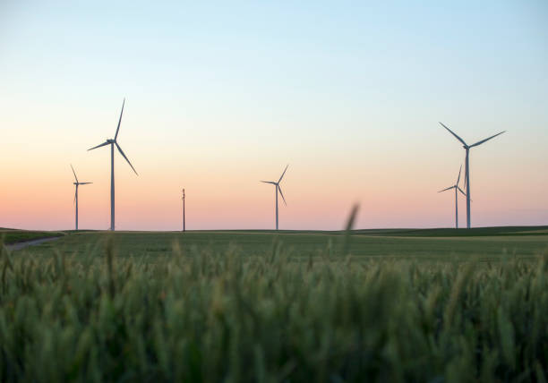 ветря�ные турбины альтернативные источники электроэнергии - green business стоковые фото и изображения