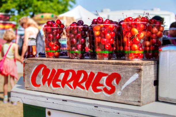 traverse city cherries - cherry cherry tree tree fruit zdjęcia i obrazy z banku zdjęć