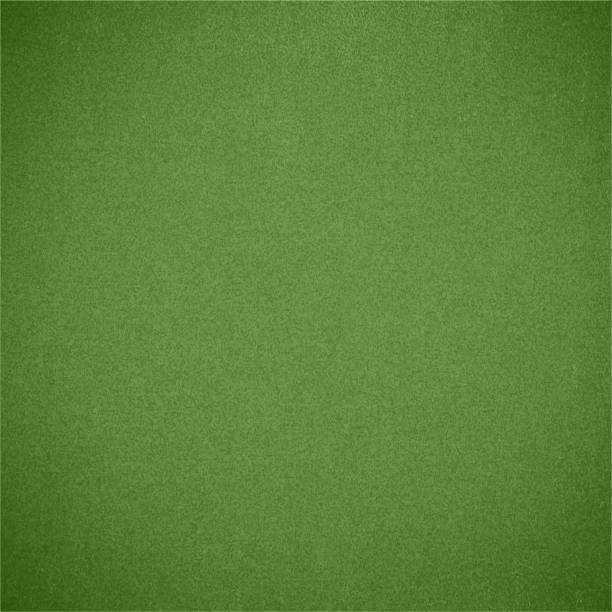 текстура зеленой травы векторный фон eps10 - grass area illustrations stock illustrations