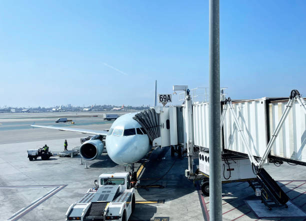 istock Airport & air travel,LAX 1367902722