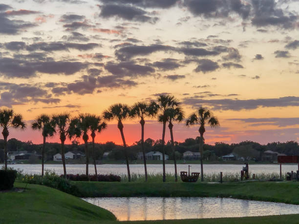 istock Sunset over lake in Orlando, FL 1367903861