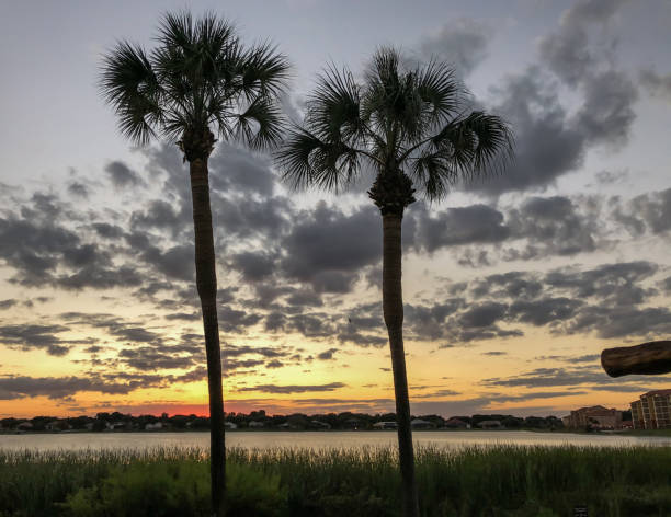 istock Sunset over lake in Orlando, FL 1367903890