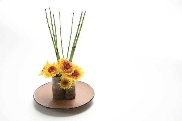 istock Scouring rush and chrysanthemums arranged in japanese style. 1367904242