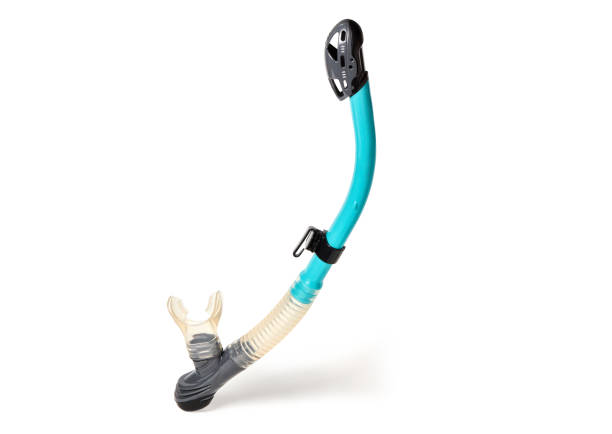 istock Tube for for snorkeling or diving isolated 1367905281