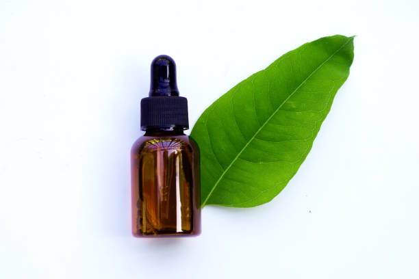 istock Eucalyptus essential oil bottle with leaves on white background. 1367906416