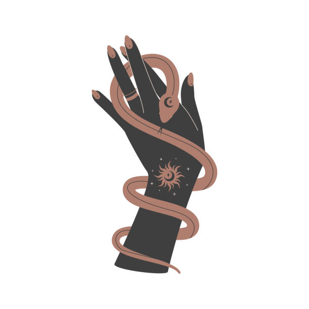 ilustrações, clipart, desenhos animados e ícones de mão mágica e cobra celestial. símbolo espiritual elegante para o logotipo da marca. serpente de silhueta mística esotérica para bruxaria mágica. ilustração do vetor do doodle - blessing hands ervas