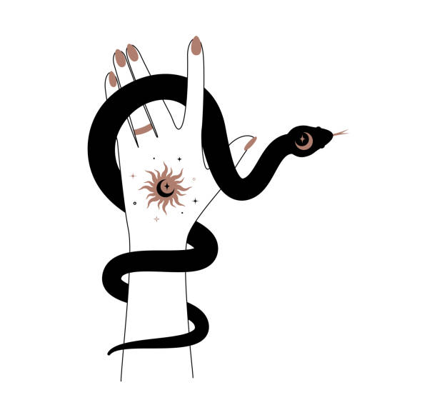 Magic hand and celestial snake outline style. Spiritual elegant symbol for branding name logo. Esoteric mystical silhouette serpent for magic witch craft. Vector illustration Magic hand and celestial snake outline style. Spiritual elegant symbol for branding name logo. Esoteric mystical silhouette serpent for magic witch craft. Vector illustration. simple snake tattoo drawings stock illustrations