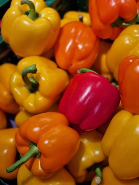 istock Healthy colorfull peppers 1367909382