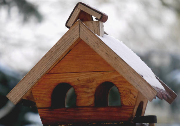 istock Wooden bird feeder 1367910169