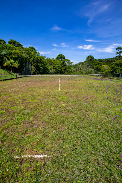 istock Old abandoned tennis court 1367911397
