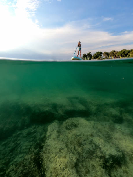 istock Girl Exploring Sea on Paddleboard 1367912678