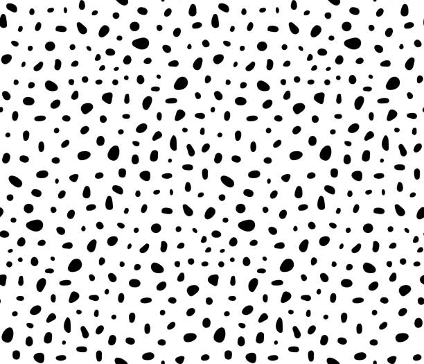 Black and white polka dots pattern. Petit poa. Vector seamless pattern Petit poa pattern. Polka dots pattern. Vector seamless pattern black and white cheetah print stock illustrations