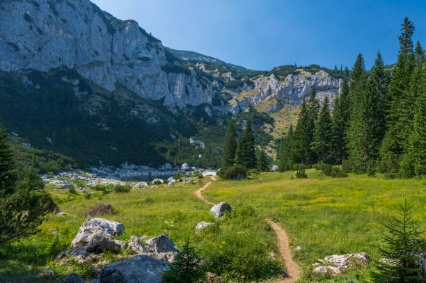 istock Beautiful mountain landscape. Panoramic view from mountains top. 1367914781