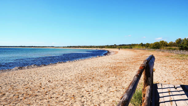istock vendicari nature reserve sicily italy 1367915810
