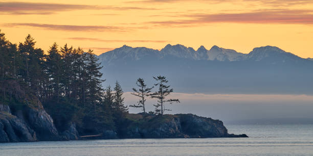 costa rocciosa di washington al tramonto - olympic peninsula foto e immagini stock