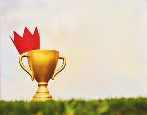 Gold winners trophy with red crown in grass with sky background and copy space