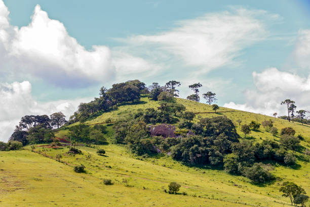 istock Wide view of the green hills 1367916792