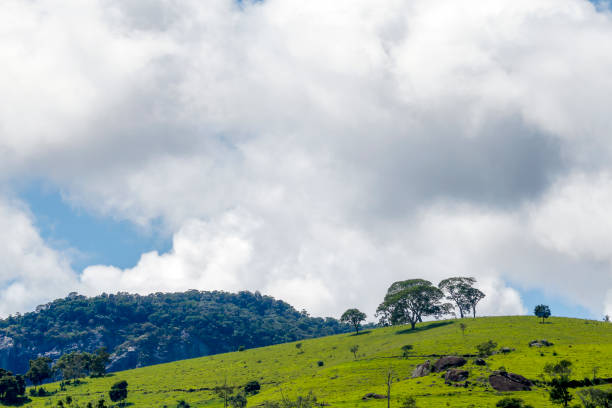 istock Wide view of the green hills 1367916932