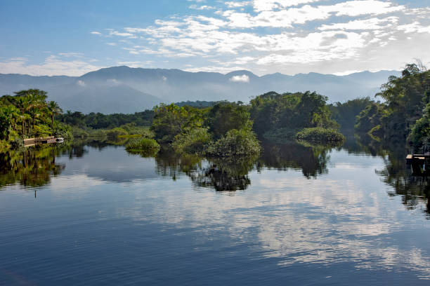Mangrove on the river of intense blue, with hills in the background. Barra do Una, Sao Sebastiao, Sao Paulo, Brazil