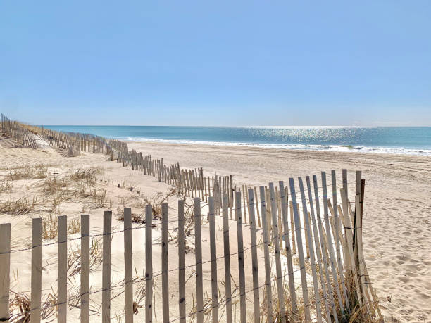 Sunny Day at Beach with Fenced Off Dunes, East Hampton, NY, US Sunny Day at Beach with Fenced Off Dunes, East Hampton, NY, US in East Hampton, New York, United States the hamptons stock pictures, royalty-free photos & images