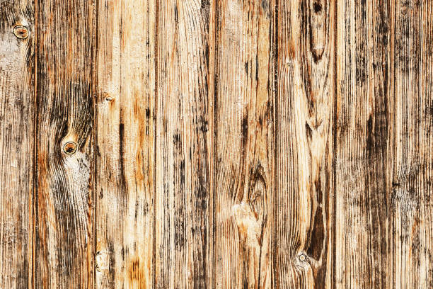 istock Grunge wood texture. Raw brown wooden wall background. Rustic tree desk with knots pattern. Countryside architecture wall. 1367921394