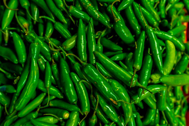 Green chilli pepper isolated on white background.