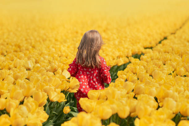 Girl running in a yellow tulip field Happy girl running in a yellow tulip field keukenhof gardens stock pictures, royalty-free photos & images