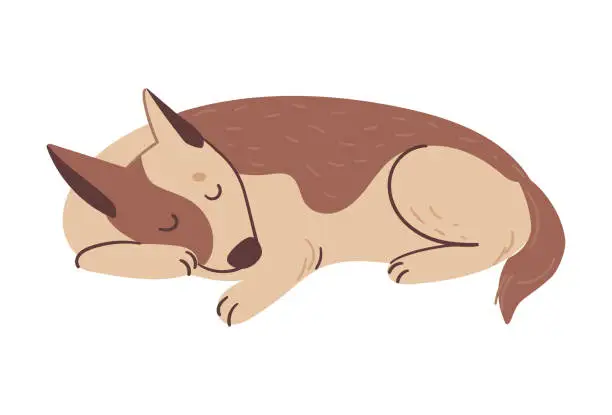 Vector illustration of dog sleeping