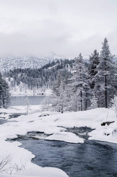 istock Little river in snowy Norwegian mountains during winter 1367928881