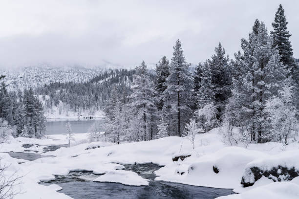 istock Little river in snowy Norwegian mountains during winter 1367928899