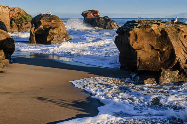 istock Sea Stacks Along the California Coast 1367930171