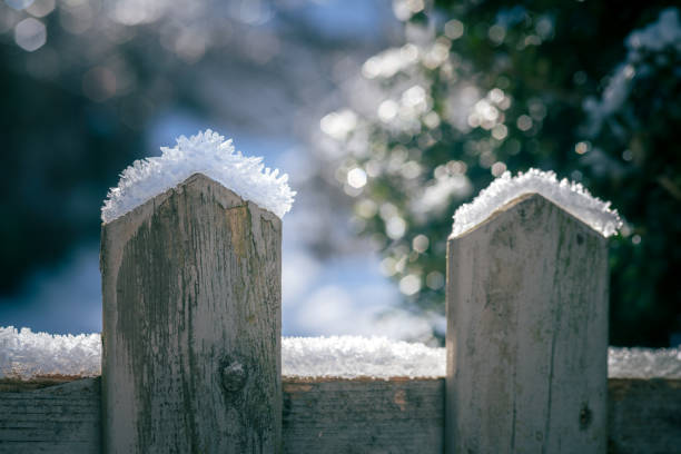 Frost covered garden fence in winter focus on foreground blur background
